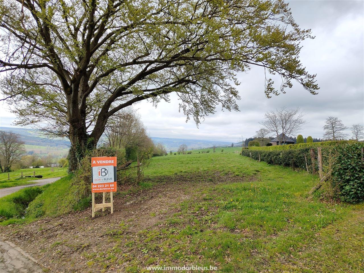 a-vendre-terrain-stavelot-2780-3.jpg